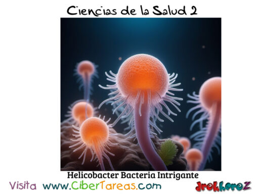 Helicobacter: Explorando una Bacteria Intrigante – Ciencias De La Salud 2 1