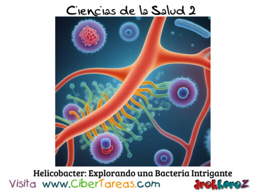 Helicobacter: Explorando una Bacteria Intrigante – Ciencias De La Salud 2 0