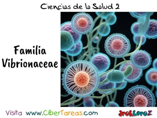 La familia Vibrionaceae – Ciencias de la Salud 2 0