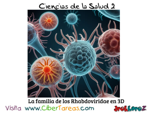 Patologías Relacionadas con la Familia de los Rhabdoviridae – Ciencias de la Salud 2 0