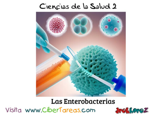 Las Enterobacterias – Ciencias de la Salud 2 0