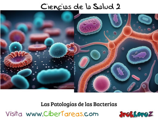 La Patología Bacteriana – Ciencias de la Salud 2 1