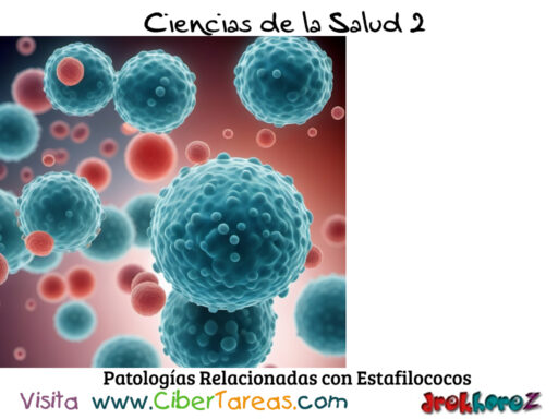 Patologías Relacionadas con Estafilococos y Estreptococos – Ciencias de la Salud 2 0