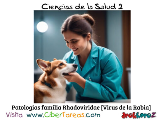 Patologías Relacionadas con la Familia de los Rhabdoviridae – Ciencias de la Salud 2 2
