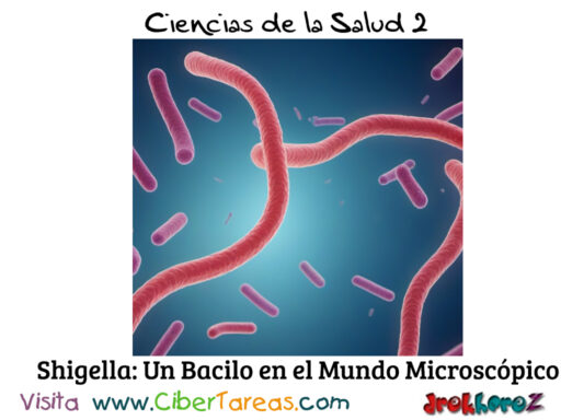 Análisis Profundo de la Bacteria Shigella – Ciencias de la Salud 2 1