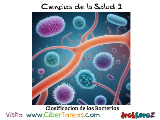 La Clasificación de las Bacterias – Ciencias de la Salud 2 1