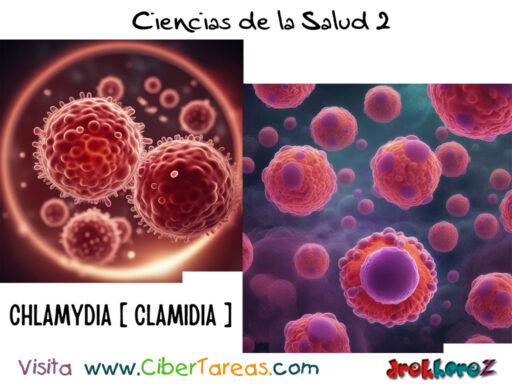 Chlamydia Trachomatis Bacteria Clamidia de ITS – Ciencias de la Salud 2 0