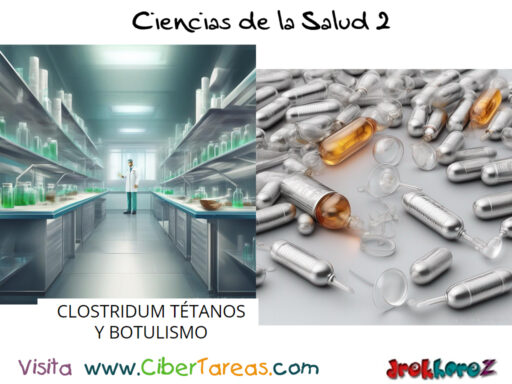 Clostridum (Tétanos y Botulismo) – Ciencias de la Salud 2 0