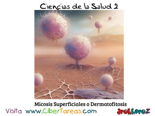 Micosis Superficiales o Dermatofitosis – Ciencias de la Salud 2 0