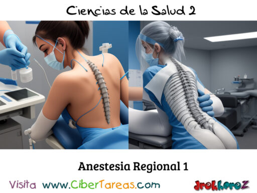 La Anestesia Regional – Ciencias de la Salud 2 0