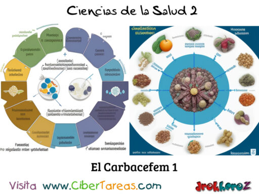 El Carbacefem en la Clasificación de los Antibióticos – Ciencias de la Salud 2 1