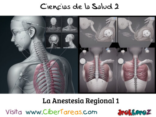 La Anestesia Regional – Ciencias de la Salud 2 1
