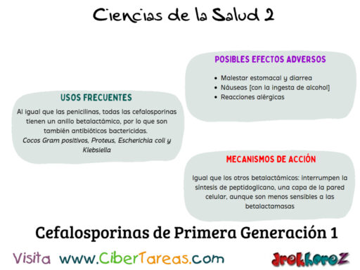 Las Cefalosporinas Primera Generación en la Clasificación de los Antibióticos – Ciencias de la Salud 2 1