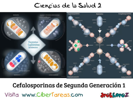 Las Cefalosporinas Segunda Generación en la Clasificación de los Antibióticos – Ciencias de la Salud 2 2