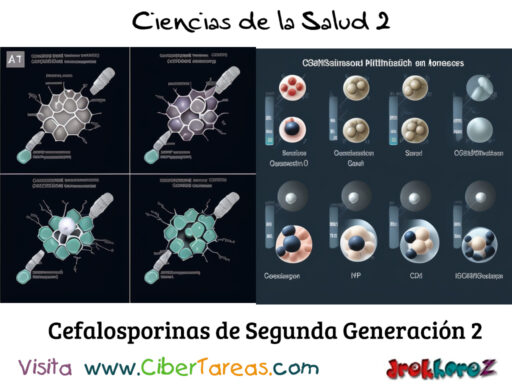 Las Cefalosporinas Segunda Generación en la Clasificación de los Antibióticos – Ciencias de la Salud 2 3