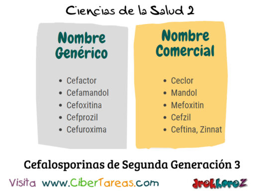 Las Cefalosporinas Segunda Generación en la Clasificación de los Antibióticos – Ciencias de la Salud 2 0