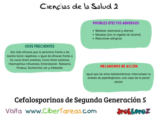 Las Cefalosporinas Segunda Generación en la Clasificación de los Antibióticos – Ciencias de la Salud 2 1