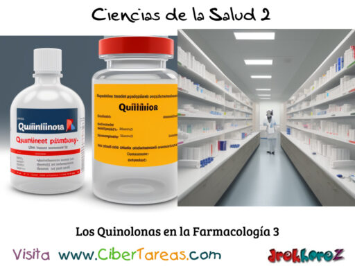 Las Quinolonas En La Farmacolog A Ciencias De La Salud 2 CiberTareas   Los Quinolonas En La Farmacologia 3 Ciencias De La Salud 2 512x384 