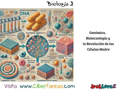 Innovaciones Celulares: Genómica, Biotecnología y la Revolución de las Células Madre – Biología 2 1