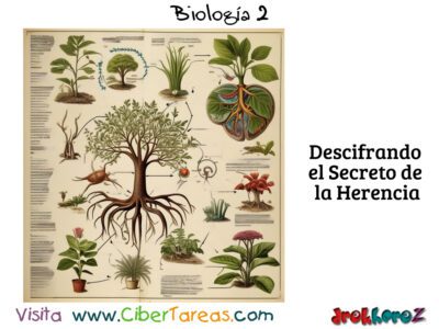 Genes, Cromosomas y Proteínas en la Vida Celular – Biología 2 0