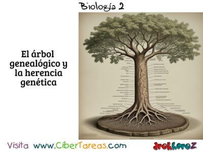 Genes, Cromosomas y Proteínas en la Vida Celular – Biología 2 1