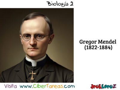 Gregor Mendel: El Padre de la Genética – Biología 2 0